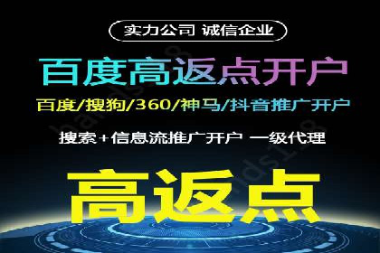 突破关键词竞价排名困境的案例解析